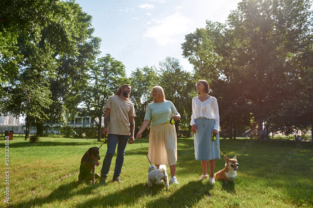 Positive people walking dogs on meadow in park Positive people walking dogs on meadow in park