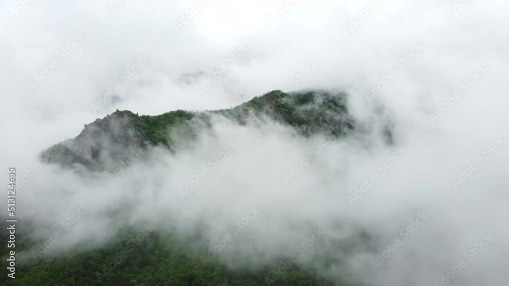 Beautiful clouds in mountain forest. Misty fog blowing over trees aerial top view landscape. Morning fog at summer forest Beautiful clouds in mountain forest. Misty fog blowing over trees aerial top view landscape. Morning fog at summer forest