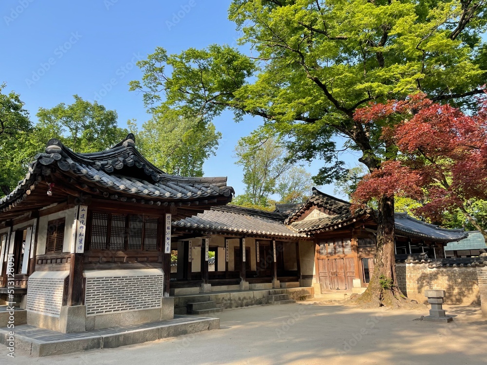 korea / korean traditional palace / garden /창덕궁 후원 korea / korean traditional palace / garden /창덕궁 후원