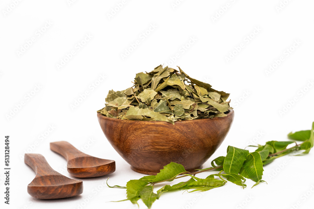 Ayurvedic neem or azadirachta indica or ayurveda dry green leaves isolated on white background Ayurvedic neem or azadirachta indica or ayurveda dry green leaves isolated on white background