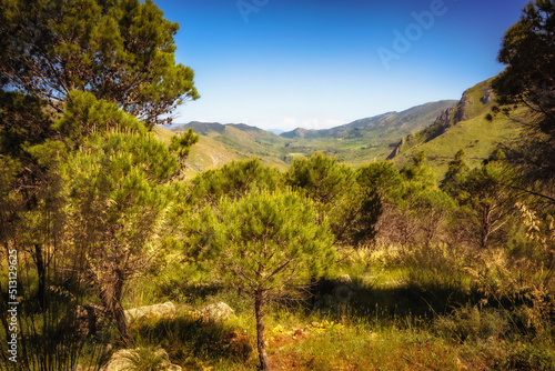 sicilian spring countryside hill landscape