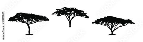 Photography Isolated tree silhouettes on a white background