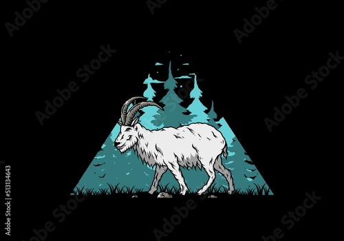 Hairy mountain goat with long horns