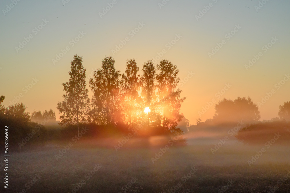 Naklejka premium a beautiful foggy morning in the middle of summer in a green meadow with orange sunlight