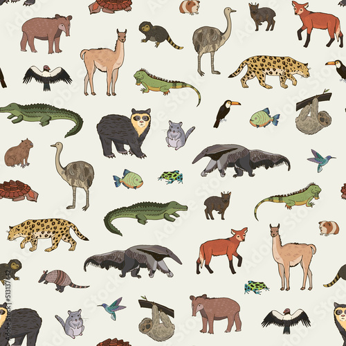 South America animals vector seamless pattern