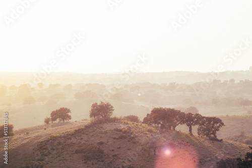 paisaje de una dehesa al amanecer en una mañana nublada