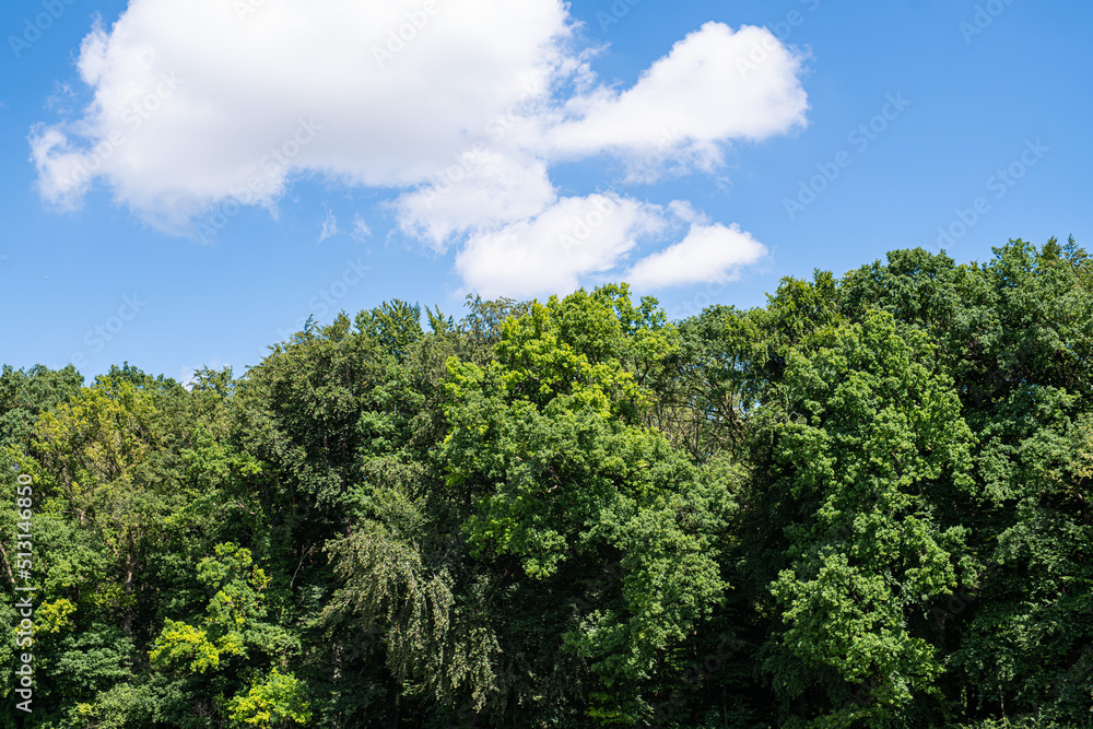 Wolken und blauer Himmel über kleinem Waldstück Wolken und blauer Himmel über kleinem Waldstück