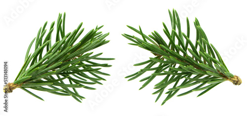 wide spruce garland. Border of fir branches for Christmas. Branches Border , isolated on white background.