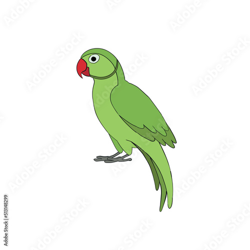 Cartoon green the indian ring-necked parakeet parrot hand drawn isolated on a white background. Flat design. Vector illustration.