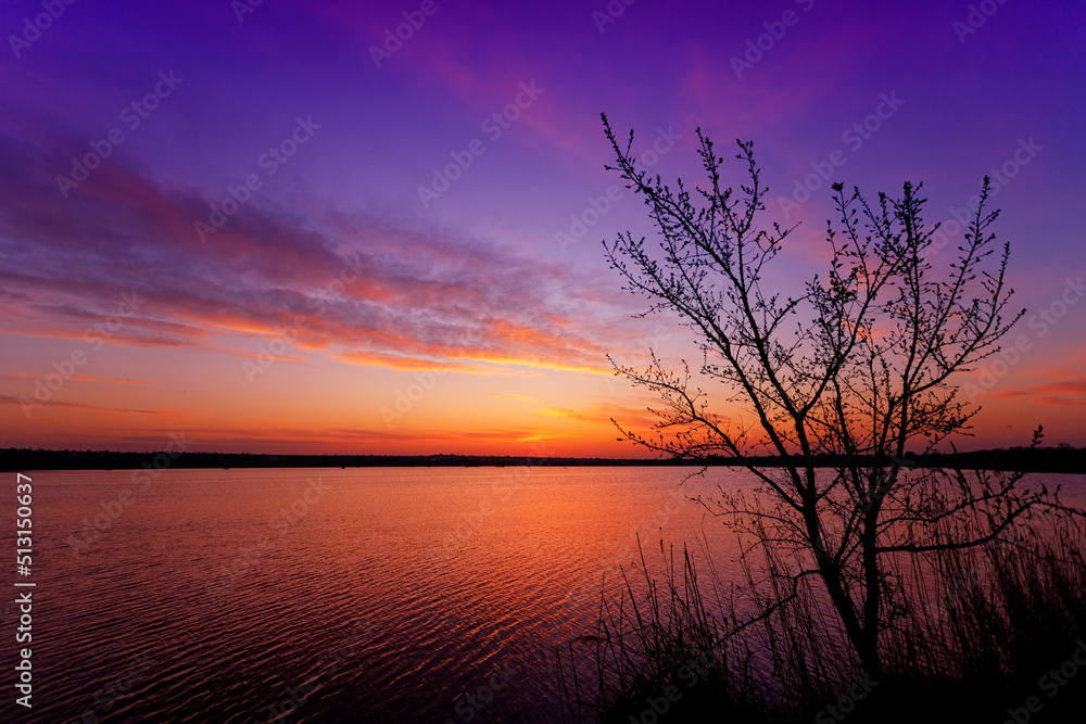 Lake at sunrise with a tree in the foreground