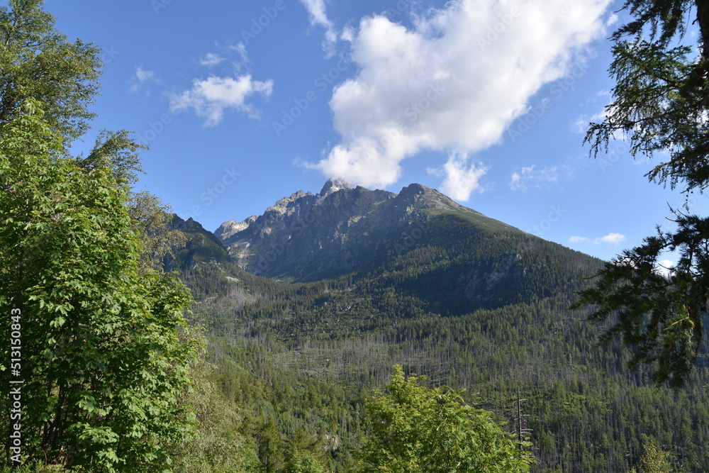 Little Cold Water Valley, Tatra Mountains, Slovakia, Little Cold Water Valley, Tatra Mountains, Slovakia,