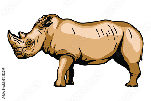  Rinoceronte Vector illustration - Hand drawn