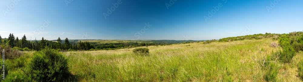 Fototapeta premium Panorama bei Wollseifen auf der Dreiborner Hochfläche in der Eifel im Sommer 