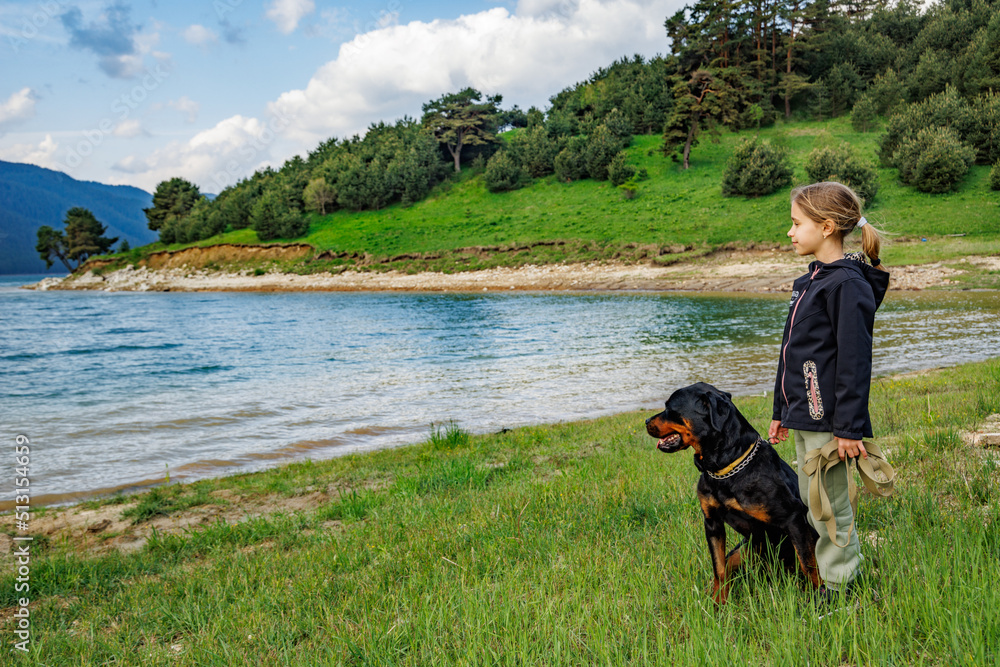Girl stands near dog of Rottweiler breed in meadow next to lake, against hilly valley with spruce forests