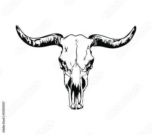 Buffalo skull - hand drawn vector illustration isolated on white background
