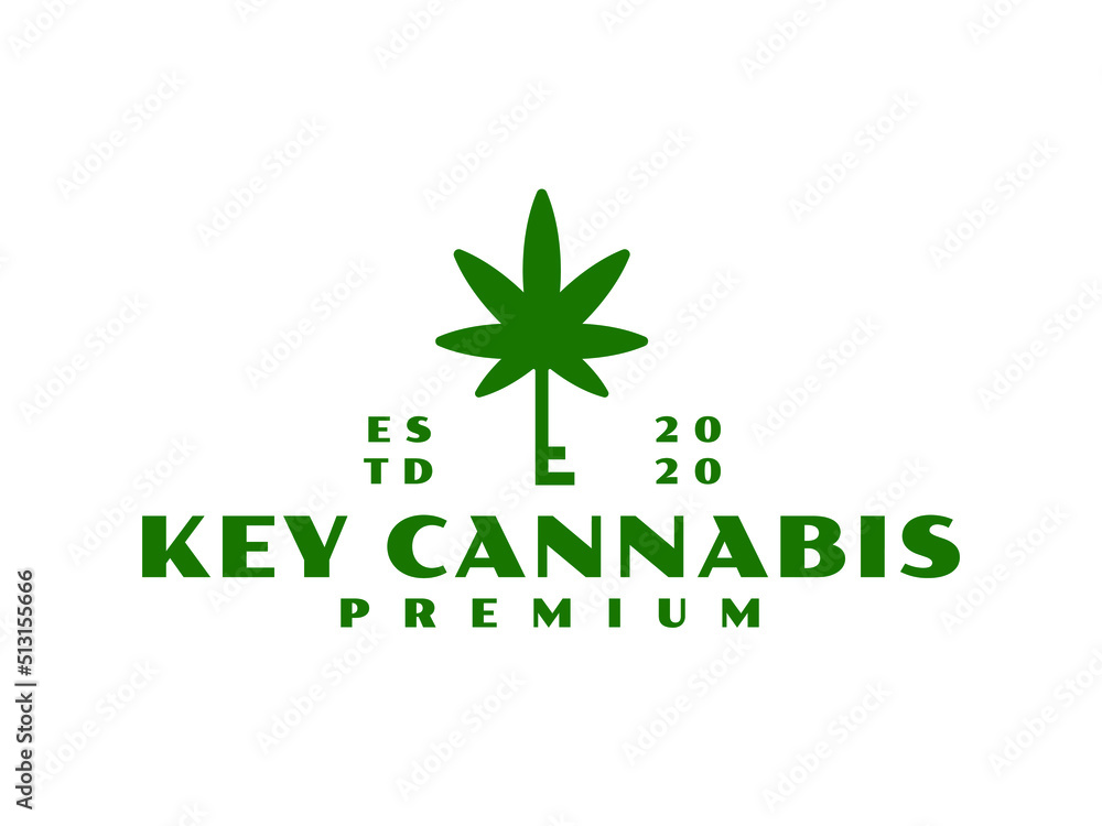 Elegant marijuana weed logo concept. Cannabis And Keys Logo Brand Identity Icon Vector Illustration Elegant marijuana weed logo concept. Cannabis And Keys Logo Brand Identity Icon Vector Illustration