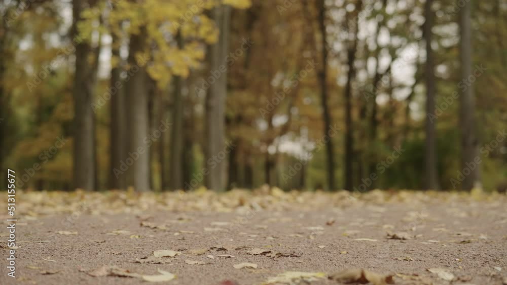 Slow motion autumn background with fallen leaves in a park Slow motion autumn background with fallen leaves in a park
