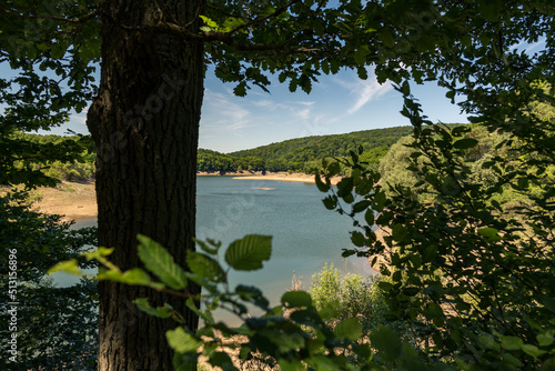 Blick auf die Urft im Nationalpark Eifel im Sommer - Urftsee