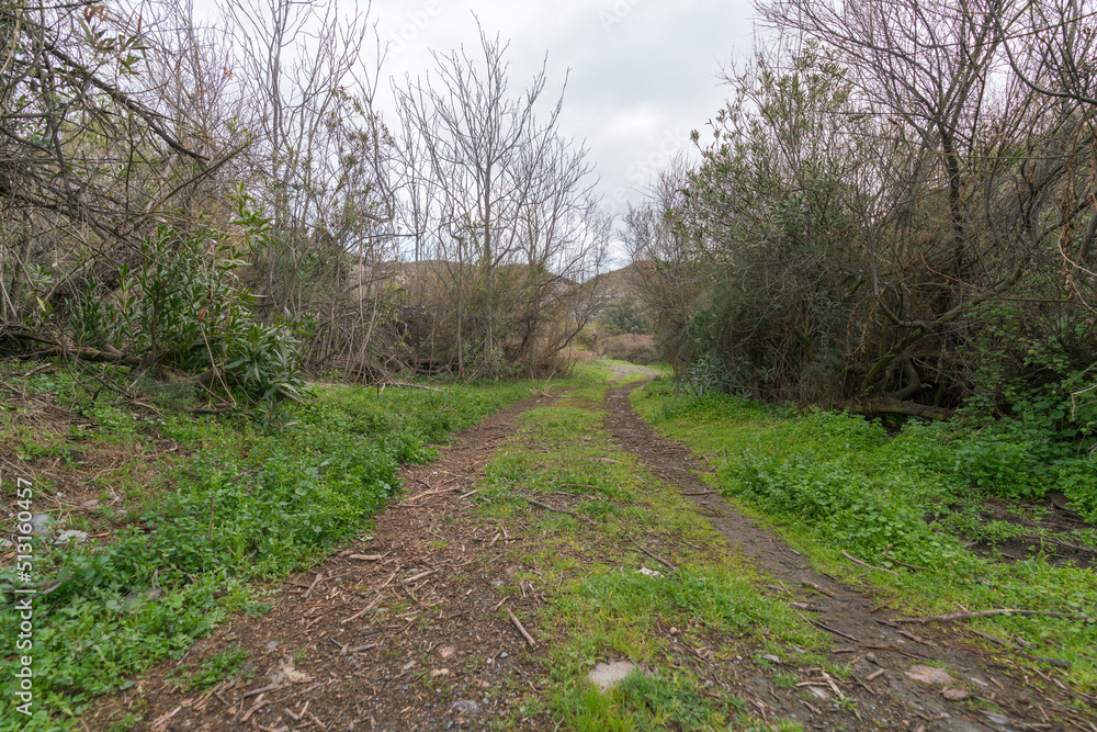 road in the field in the south of Granada road in the field in the south of Granada