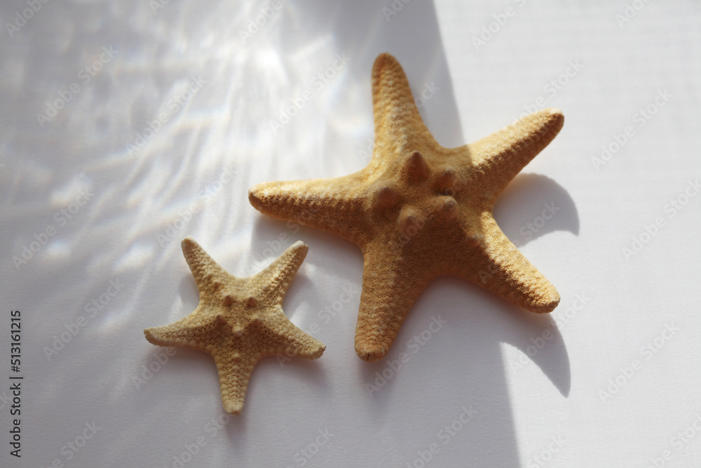 Blurred Soft focus gray grain texture refraction and starfish. Light and shadow smoke abstract copy space background. Blurred Soft focus gray grain texture refraction and starfish. Light and shadow smoke abstract copy space background.
