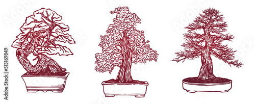 miniature bonsai trees in the pot - Hand drawn - Out line