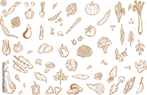 Vegetables collection hand drawn - Out line