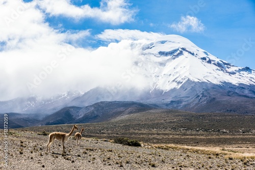 The mountain Chimborazo in Ecuador