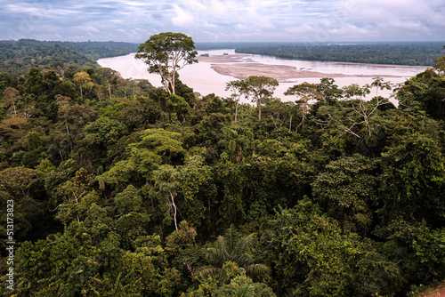 A large tree rises above the Amazonian canopy along the Rio Napo in Ecuador's Yasuni National Park photo