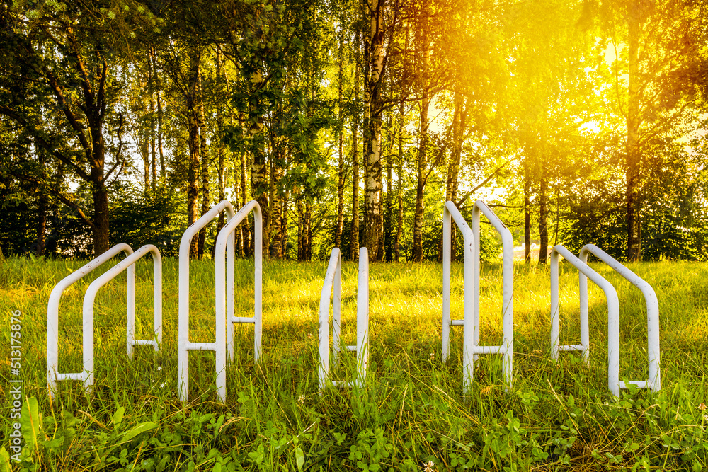 Fototapeta premium Parking for bicycles in a woods on sunny morning