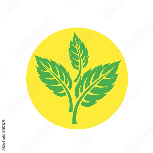 Green isolated leaf logo design vector on white background