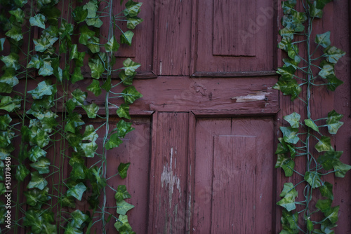 Old painted wood texture background. Wooden rustic brown planks texture with grean plants.