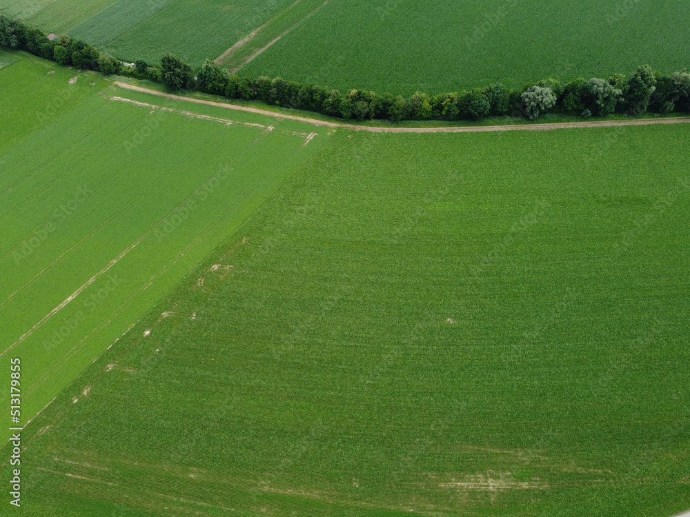 Aerial view of an agricultural field with grain planted in spring in Bavaria