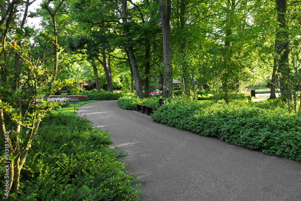 Park with variety of beautiful plants and pathway on sunny day. Spring season Park with variety of beautiful plants and pathway on sunny day. Spring season