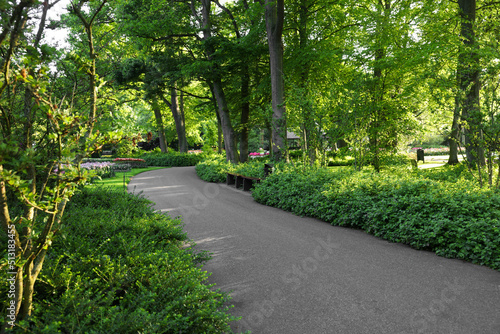 Park with variety of beautiful plants and pathway on sunny day. Spring season © New Africa