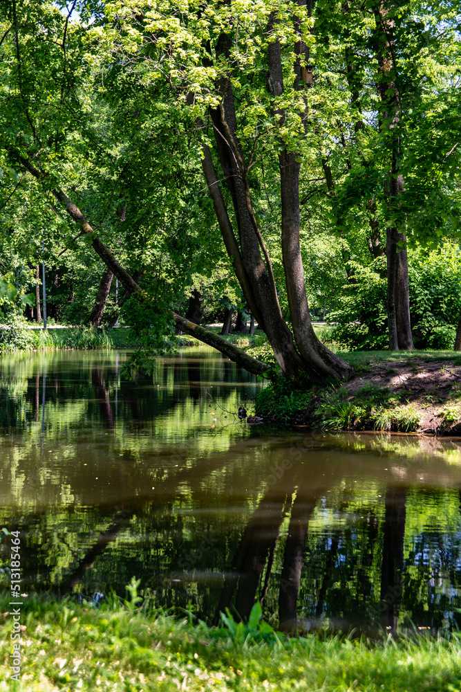 Fototapeta premium Park Dojlidy Bialystok,samo poludnie