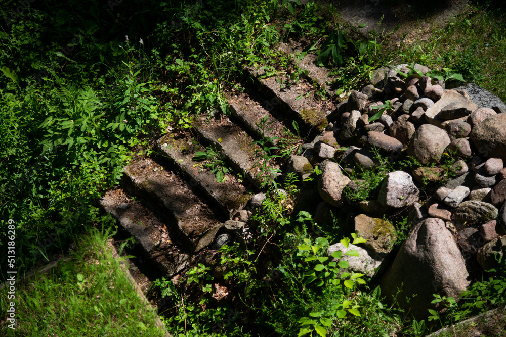 An old concrete staircase with boulders has grown into a green grass in the forest. An old concrete staircase with boulders has grown into a green grass in the forest.