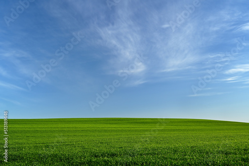 Breathtaking green field with superb sky above  Windows like .