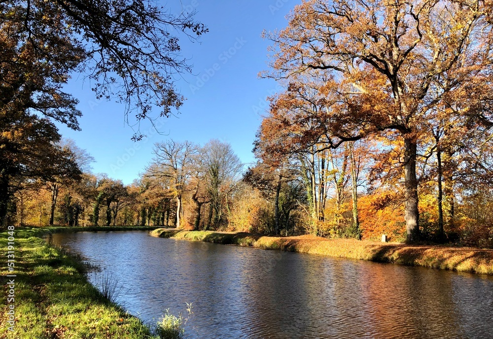 autumn in the park autumn in the park