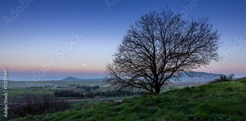 Cuadro en lienzo A lone tree silhouette at sunrise and moonset, the Golan Heights, at the blue ho