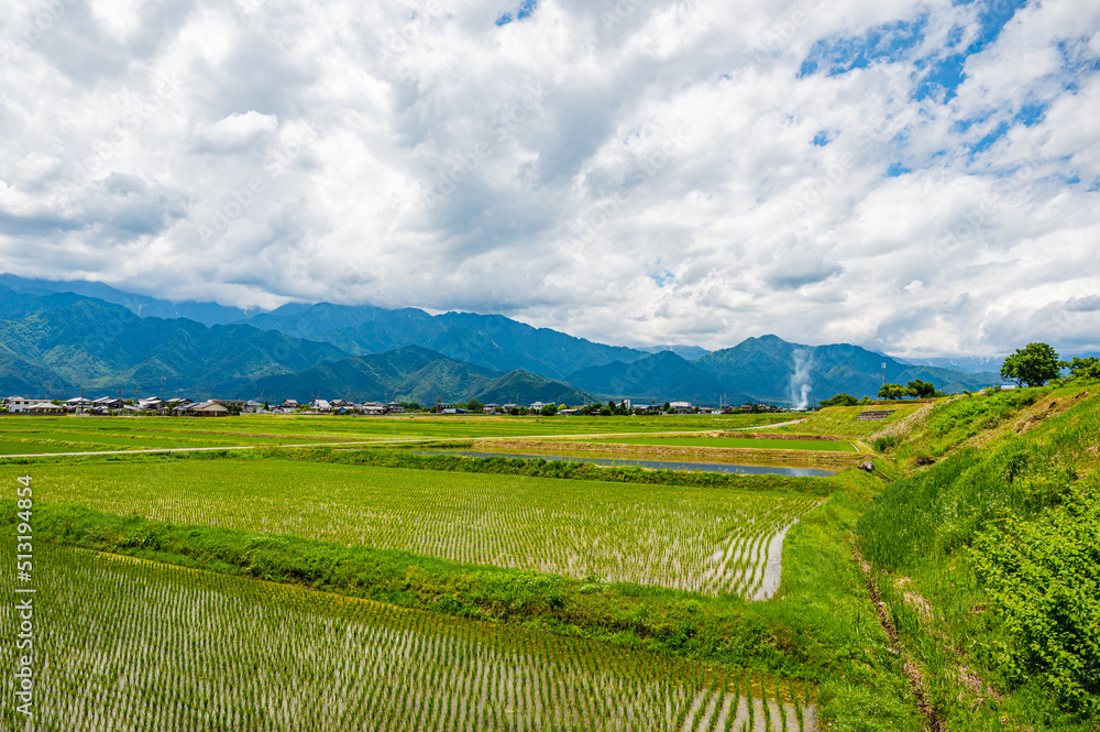 曇りがち梅雨の田園風景　北アルプス方面