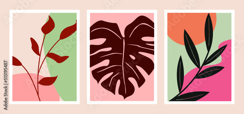 Set de tres cuadros minimalistas decorativos de pinturas de hojas monstera vector ilustracion plantas