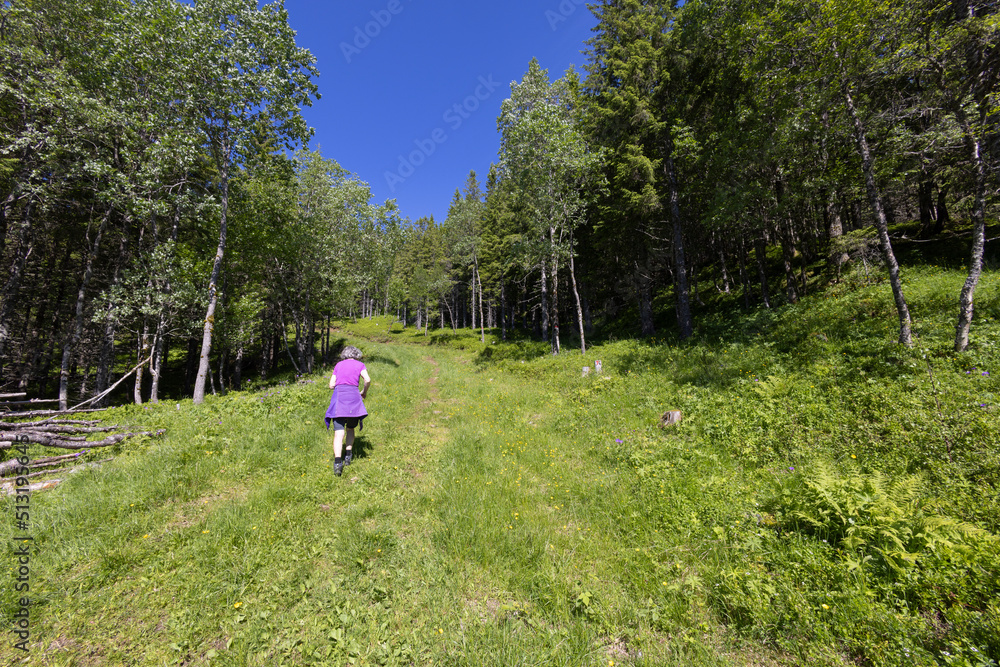 Obraz premium Hiking to the mountains Seterfjellet a warm and beautiful summer day, Northern Norway- Europe
