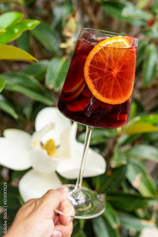 red wine spanish famous traditional fruity sangria gourmet cocktail