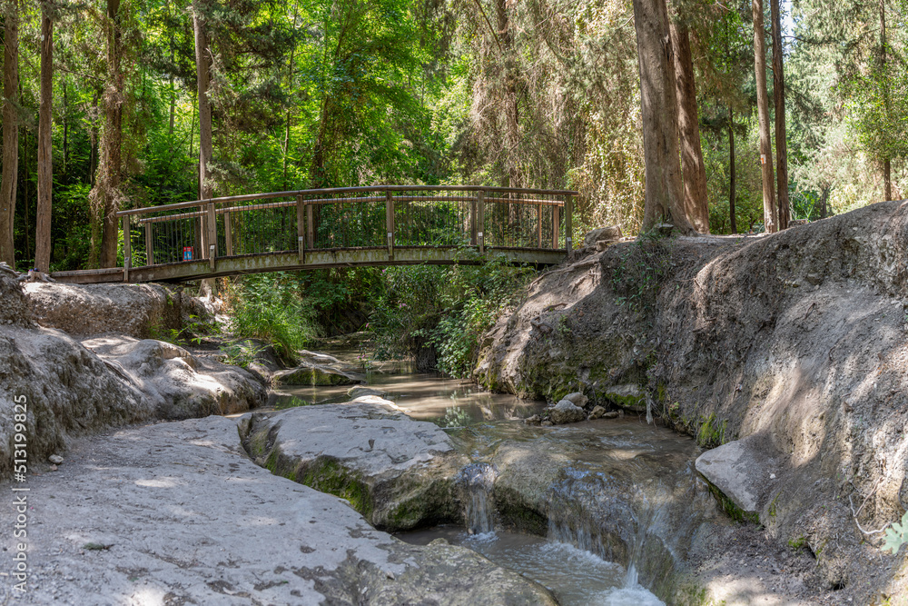Wooden bridge over Nahal Hashofet stream at Ramot Menashe Forest part of the Carmel mountain range in Israel
Wooden bridge over Nahal Hashofet stream at Ramot Menashe Forest part of the Carmel mountain range in Israel