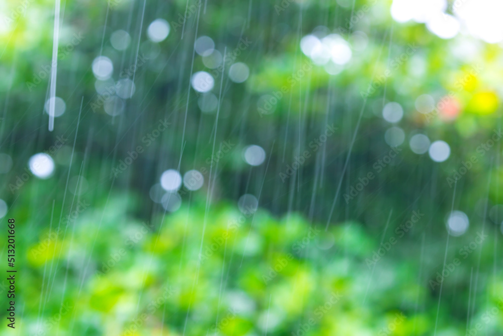 Obraz premium Tropical rain, season of precipitation. Rain on the background of defocused palm leaves.