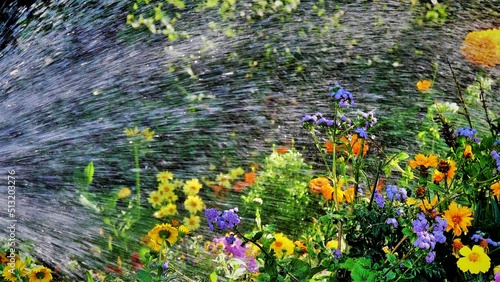 Blumendusche