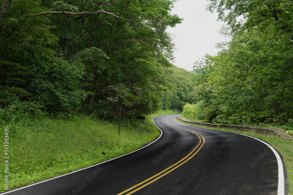 Fototapeta premium Skyline drive curving through the lush forest