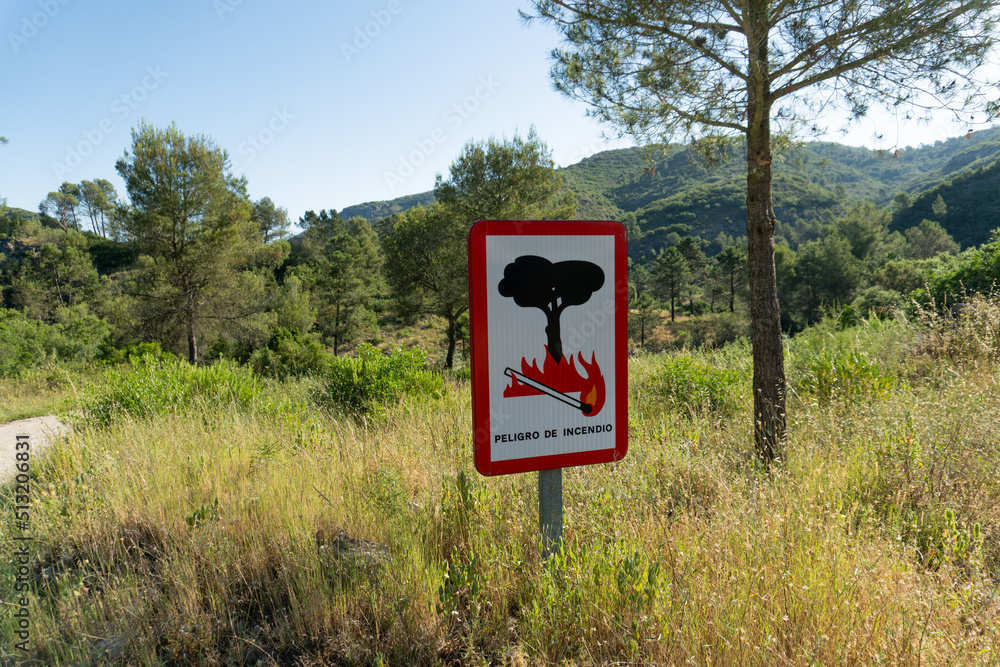 Informative poster with the phrase -fire danger-. in the forest. Informative poster with the phrase -fire danger-. in the forest.
