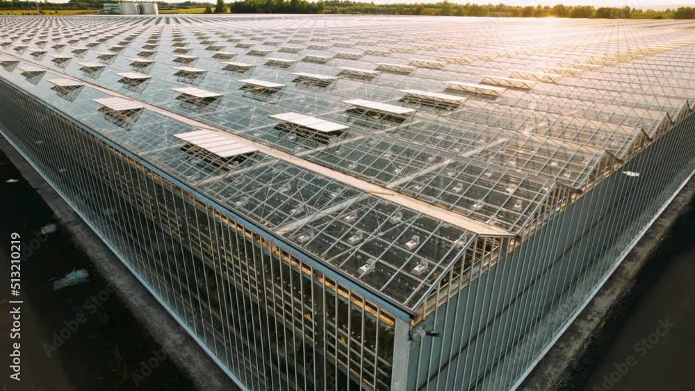 Large industrial greenhouse with vegetables, growing vegetables, industrial greenhouse, a greenhouse with a retractable roof, a greenhouse view from above. Flora. Ecosystem. Agro. Eco. Modern agricult Large industrial greenhouse with vegetables, growing vegetables, industrial greenhouse, a greenhouse with a retractable roof, a greenhouse view from above. Flora. Ecosystem. Agro. Eco. Modern agricult