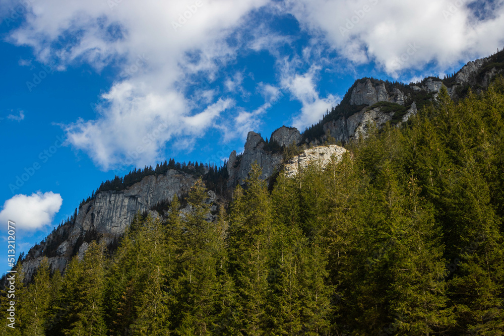 Obraz premium Dolina